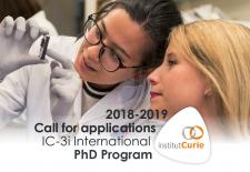 IC-3i International PhD Program, Call 2018-2019