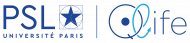 Qlife logo